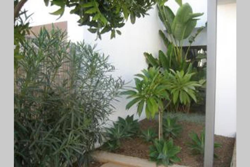 Casa Esparto Rodalquilar Exteriér fotografie